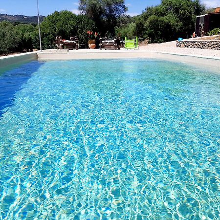 Cabana Rustica En Un Rancho Con Caballos, Prado Del Rey, Andalucia Exteriér fotografie