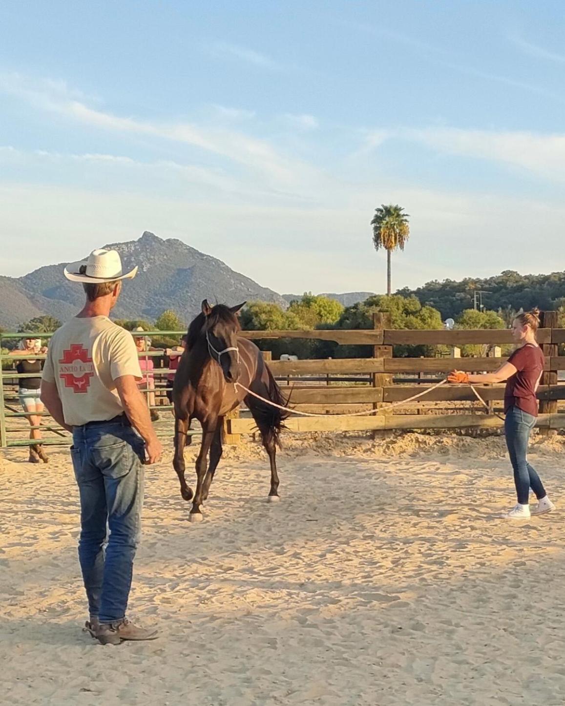 Cabana Rustica En Un Rancho Con Caballos, Prado Del Rey, Andalucia Exteriér fotografie