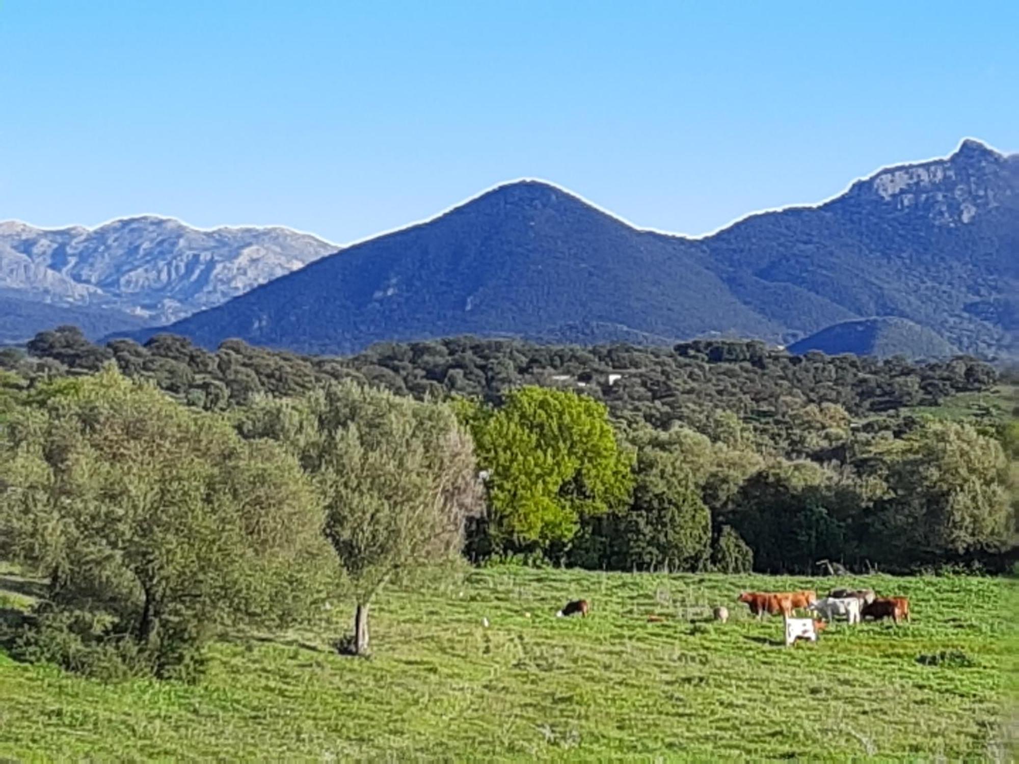 Cabana Rustica En Un Rancho Con Caballos, Prado Del Rey, Andalucia Exteriér fotografie
