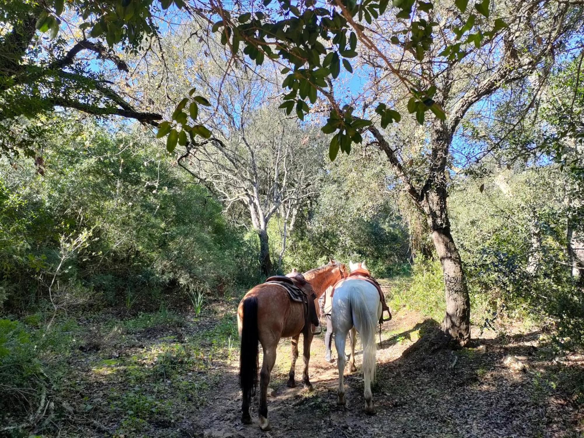 Cabana Rustica En Un Rancho Con Caballos, Prado Del Rey, Andalucia Exteriér fotografie