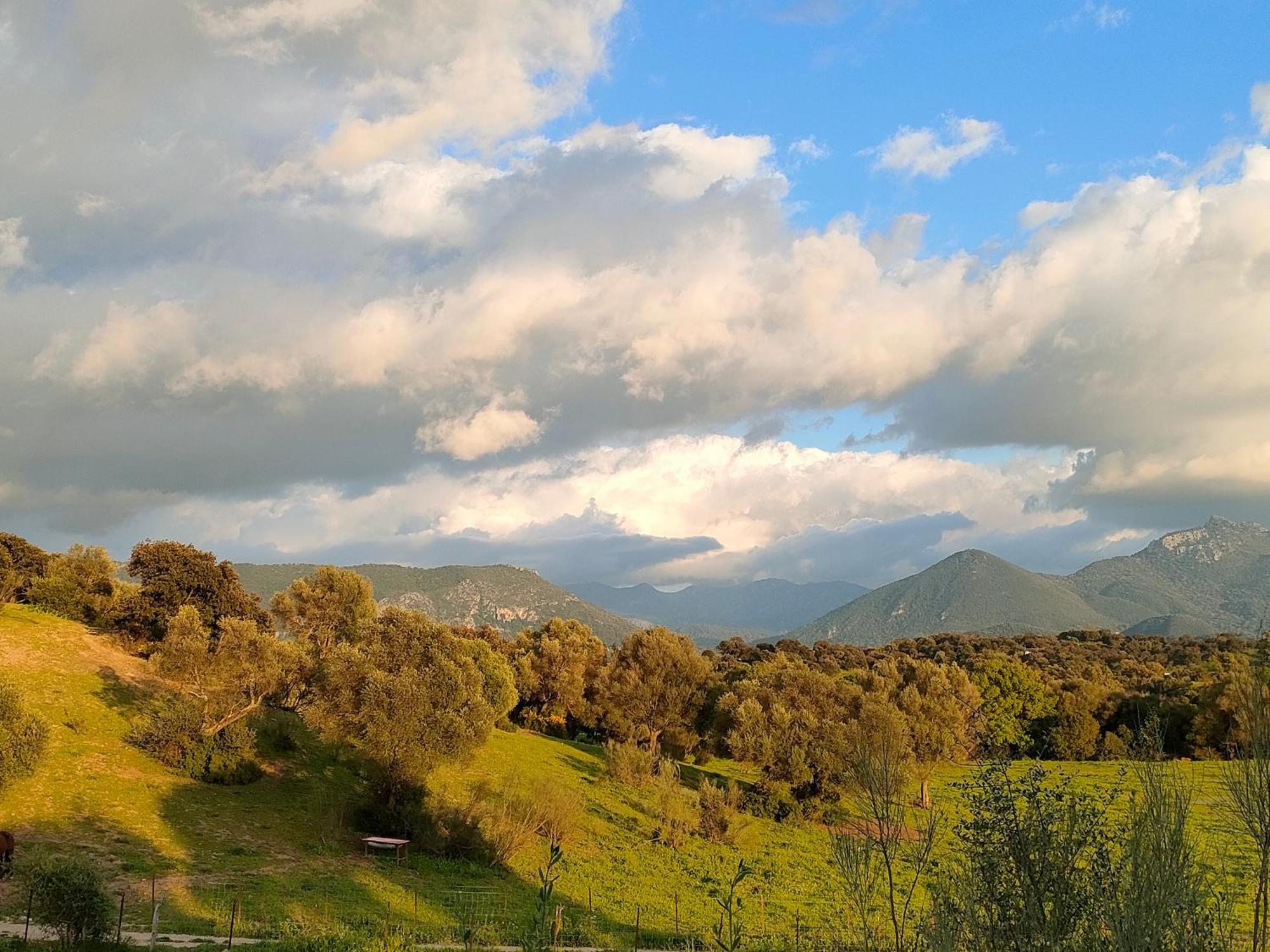 Cabana Rustica En Un Rancho Con Caballos, Prado Del Rey, Andalucia Exteriér fotografie