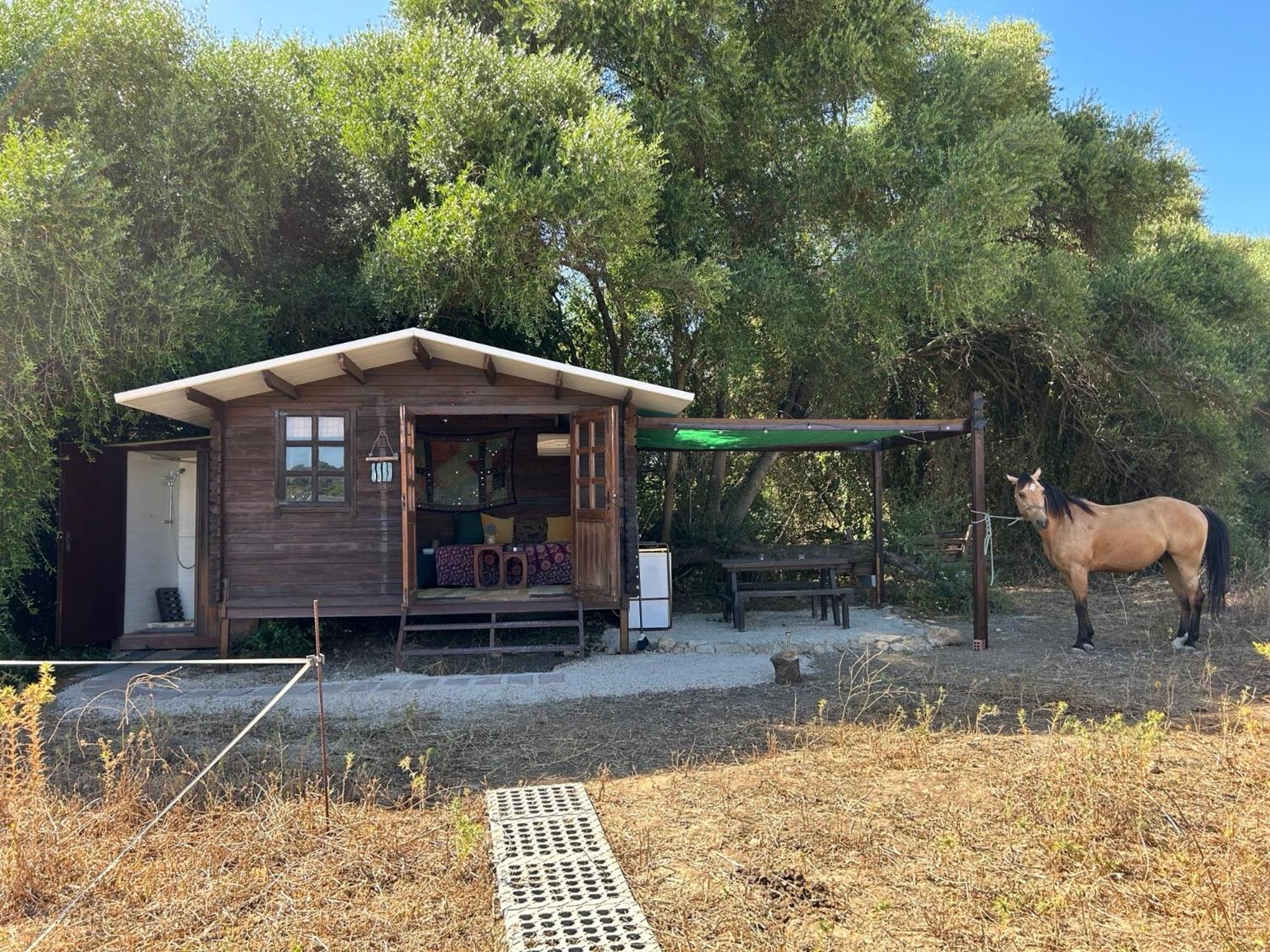 Cabana Rustica En Un Rancho Con Caballos, Prado Del Rey, Andalucia Exteriér fotografie