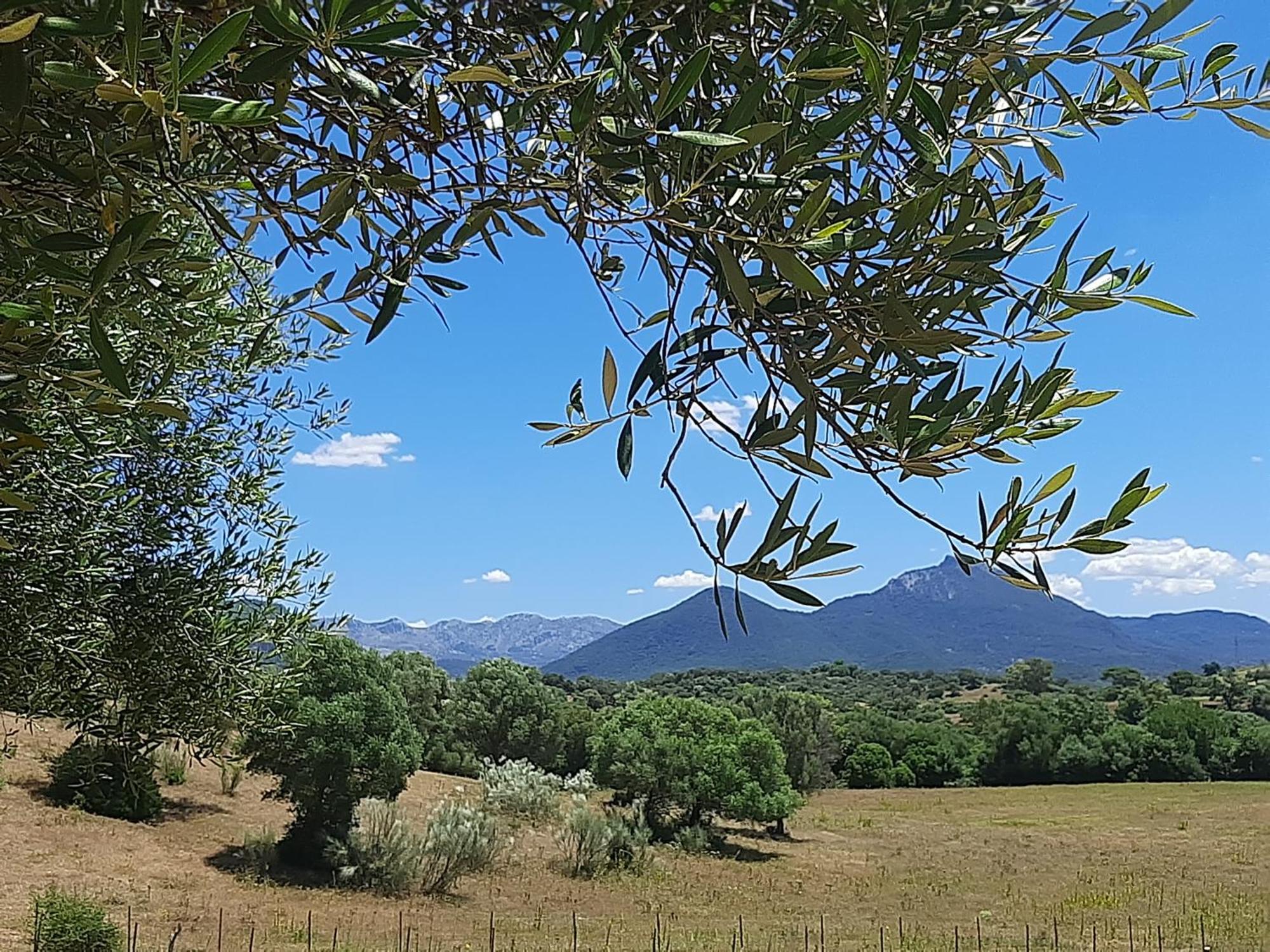 Cabana Rustica En Un Rancho Con Caballos, Prado Del Rey, Andalucia Exteriér fotografie